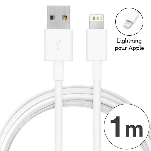 Cable USB Lightning 2A pour Apple IPhone / iPad